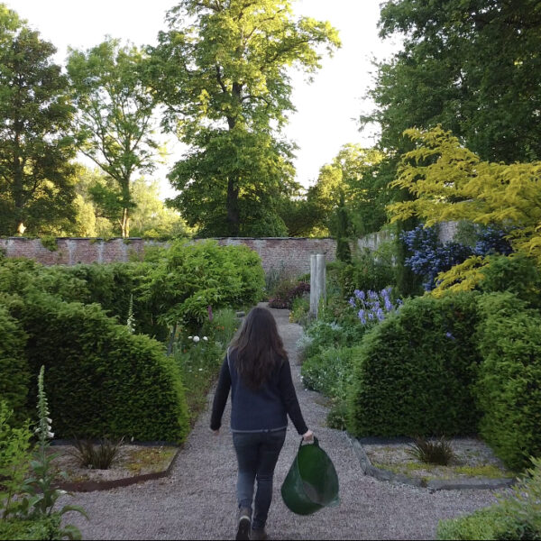 The Laundry Garden June Newsletter 2024