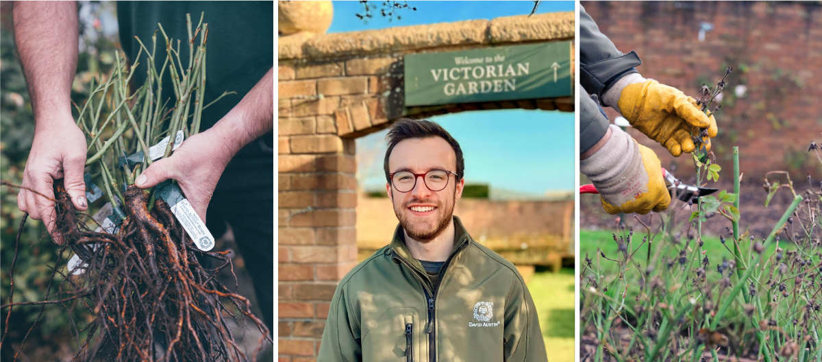 OVER ON THE COLLECTIVE FREE 7 DAY TASTER