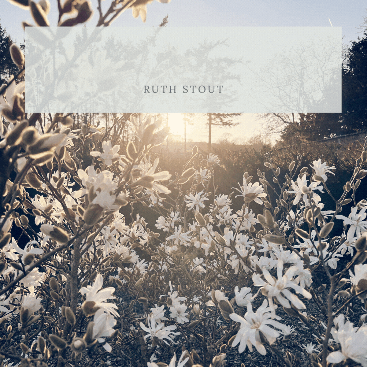 The Laundry garden march Newsletter