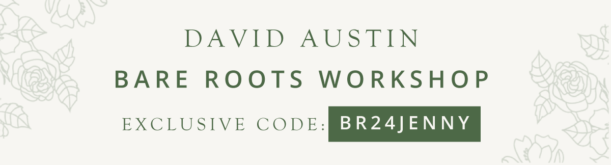 15% Off David Austin