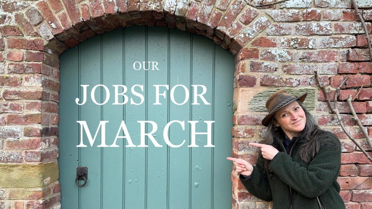 Jobs to do in March YouTube