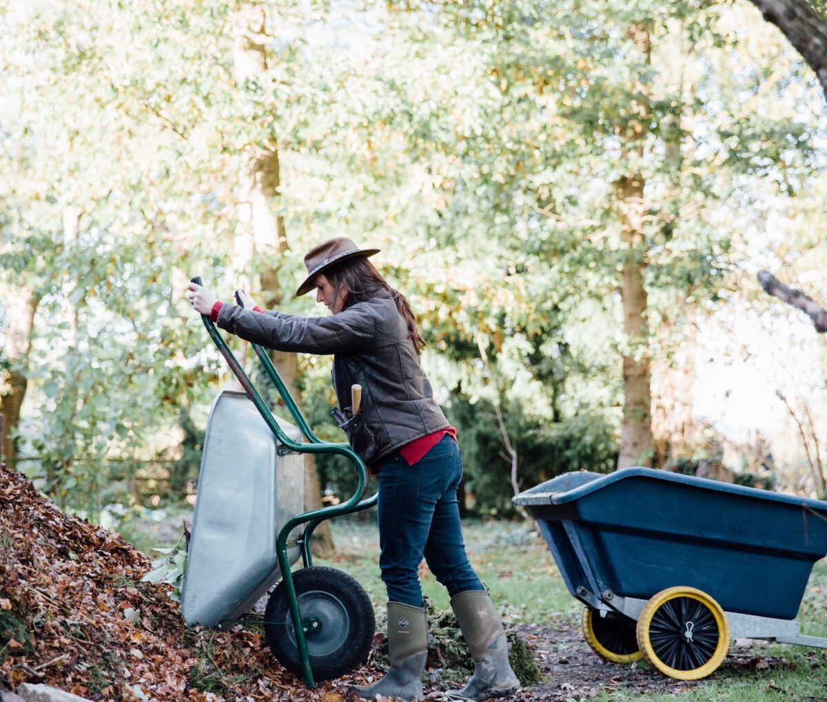5 jobs to do in the garden in January